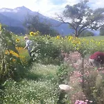 Hotel Berglandhof 3*